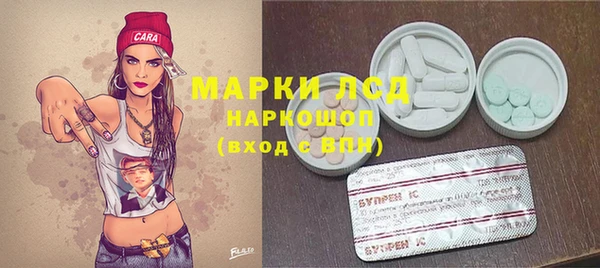 дживик Майский