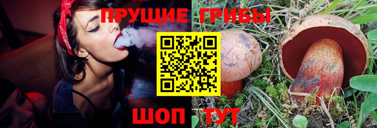 Галлюциногенные грибы прущие грибы Томск