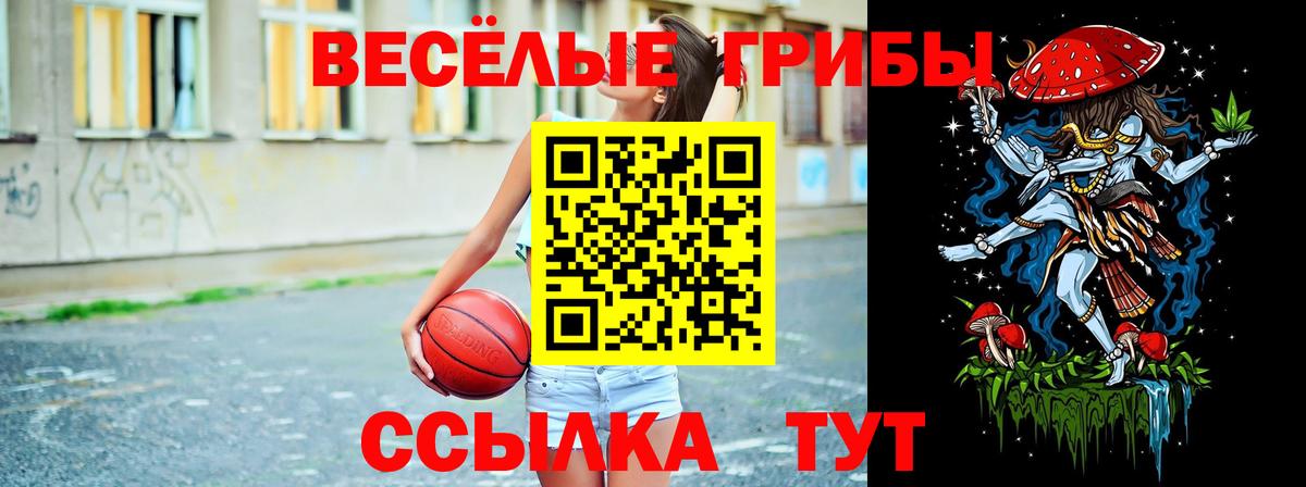 Псилоцибиновые грибы Psilocybe  Вход с VPN  Томск 